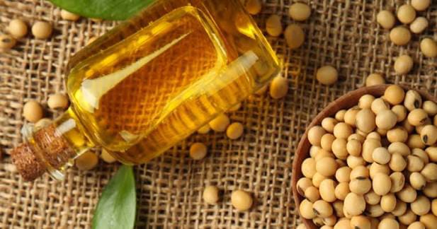 Soybean Crude Vegetable Oil